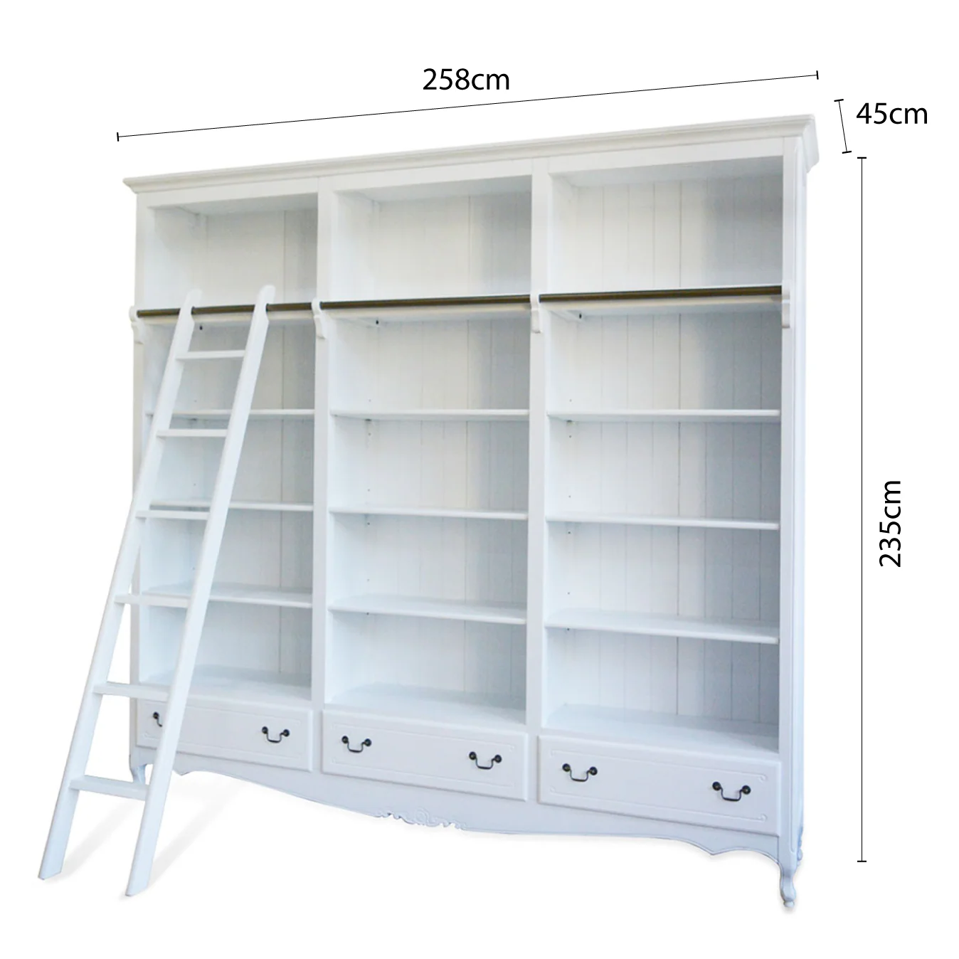 Early Bird Pre-order: Extra $1,000 OFF - French Provincial Louis Classic Library Bookcase with Ladder - Image 15